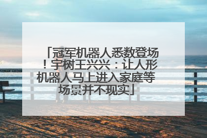 冠军机器人悉数登场！宇树王兴兴：让人形机器人马上进入家庭等场景并不现实