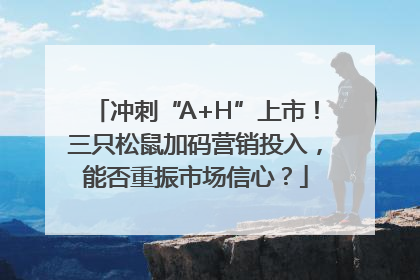 冲刺“A+H”上市！三只松鼠加码营销投入，能否重振市场信心？
