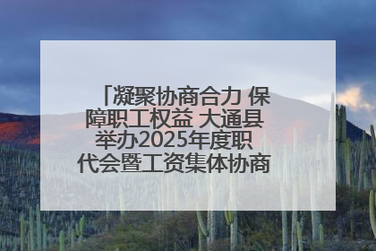 凝聚协商合力 保障职工权益 大通县举办2025年度职代会暨工资集体协商现场观摩交流活动