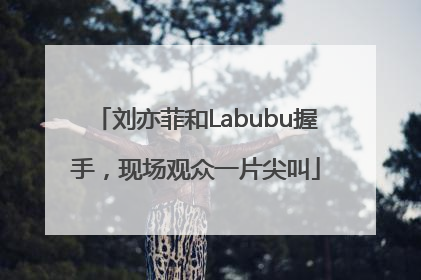 刘亦菲和Labubu握手，现场观众一片尖叫