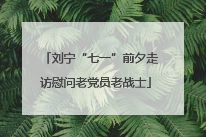刘宁“七一”前夕走访慰问老党员老战士