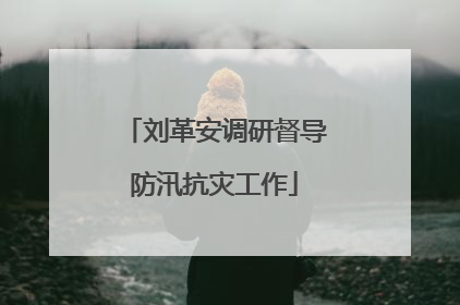 刘革安调研督导防汛抗灾工作