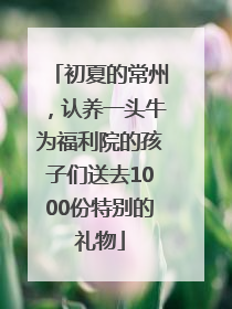 初夏的常州，认养一头牛为福利院的孩子们送去1000份特别的礼物
