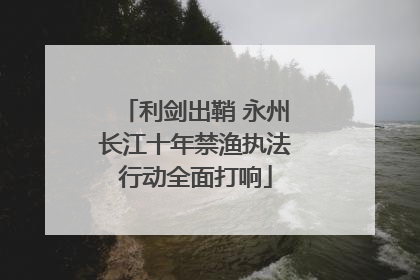 利剑出鞘 永州长江十年禁渔执法行动全面打响