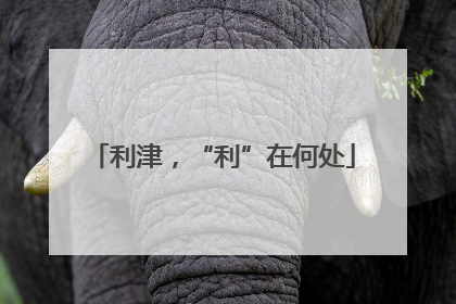 利津，“利”在何处