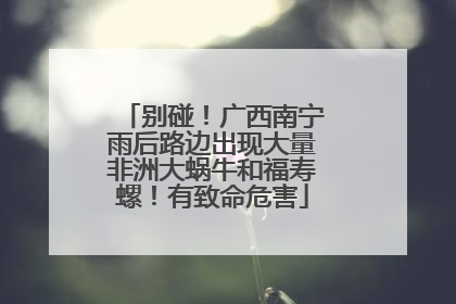 别碰！广西南宁雨后路边出现大量非洲大蜗牛和福寿螺！有致命危害