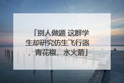 别人做题 这群学生却研究仿生飞行器、青花椒、水火箭