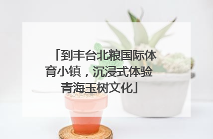 到丰台北粮国际体育小镇，沉浸式体验青海玉树文化