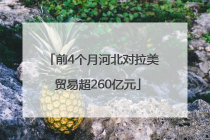 前4个月河北对拉美贸易超260亿元