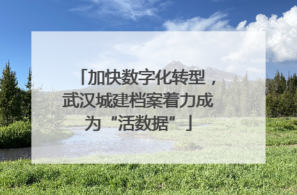 加快数字化转型，武汉城建档案着力成为“活数据”