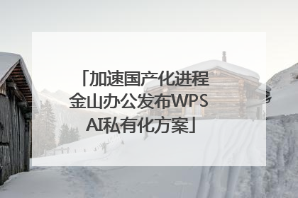 加速国产化进程 金山办公发布WPS AI私有化方案