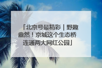 北京号最精彩｜野趣盎然！京城这个生态桥连通两大网红公园