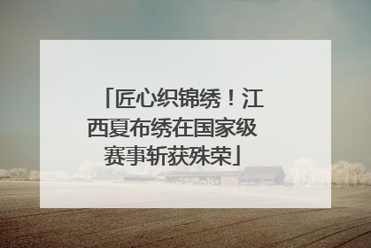匠心织锦绣！江西夏布绣在国家级赛事斩获殊荣