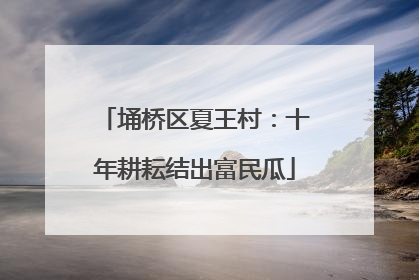 埇桥区夏王村：十年耕耘结出富民瓜