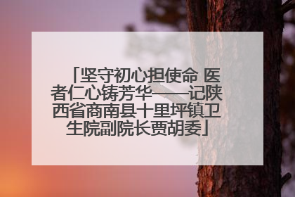 坚守初心担使命 医者仁心铸芳华——记陕西省商南县十里坪镇卫生院副院长贾胡委
