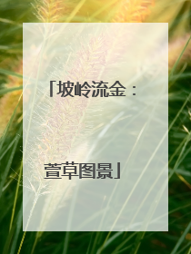 坡岭流金：萱草图景