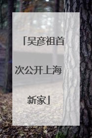 吴彦祖首次公开上海新家