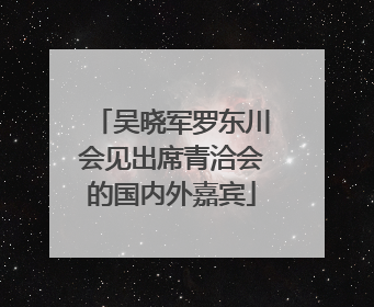 吴晓军罗东川会见出席青洽会的国内外嘉宾