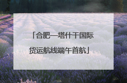 合肥—塔什干国际货运航线端午首航