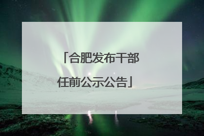 合肥发布干部任前公示公告