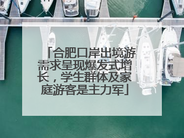 合肥口岸出境游需求呈现爆发式增长，学生群体及家庭游客是主力军