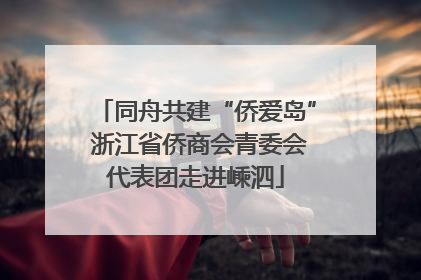 同舟共建“侨爱岛” 浙江省侨商会青委会代表团走进嵊泗