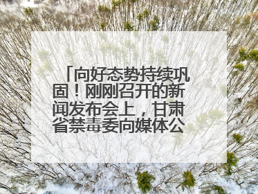 向好态势持续巩固！刚刚召开的新闻发布会上，甘肃省禁毒委向媒体公布三年禁毒工作“成绩单”