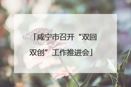 咸宁市召开“双回双创”工作推进会