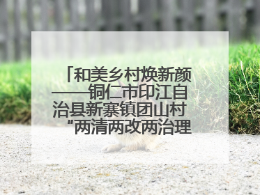 和美乡村焕新颜——铜仁市印江自治县新寨镇团山村“两清两改两治理”见闻