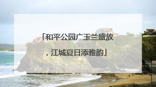 和平公园广玉兰盛放，江城夏日添雅韵