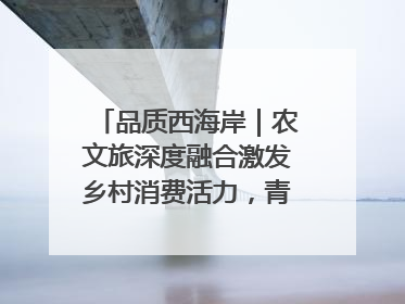 品质西海岸｜农文旅深度融合激发乡村消费活力，青岛西海岸新区的乡村振兴实践