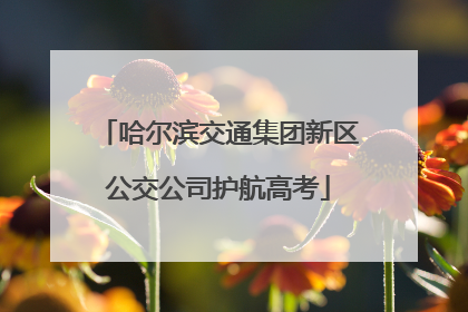 哈尔滨交通集团新区公交公司护航高考