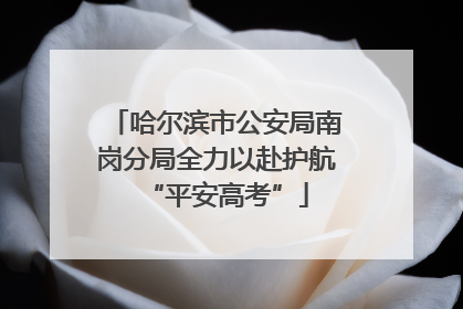 哈尔滨市公安局南岗分局全力以赴护航“平安高考”