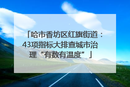 哈市香坊区红旗街道：43项指标大排查城市治理“有数有温度”