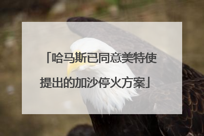 哈马斯已同意美特使提出的加沙停火方案