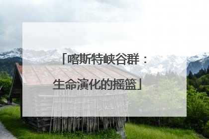喀斯特峡谷群：生命演化的摇篮