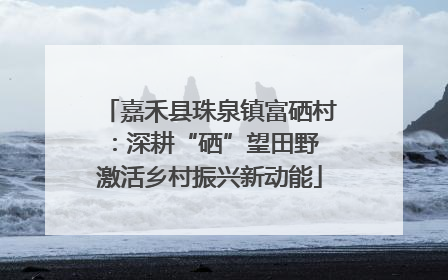 嘉禾县珠泉镇富硒村：深耕“硒”望田野 激活乡村振兴新动能