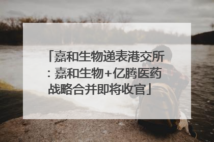 嘉和生物递表港交所：嘉和生物+亿腾医药战略合并即将收官