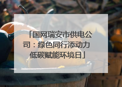 国网瑞安市供电公司：绿色同行添动力 低碳赋能环境日
