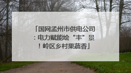 国网孟州市供电公司：电力赋能绘“丰”景！岭区乡村果蔬香