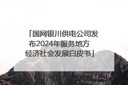 国网银川供电公司发布2024年服务地方经济社会发展白皮书