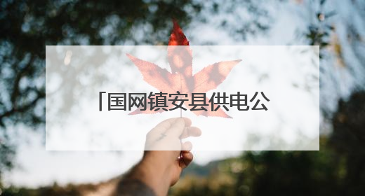国网镇安县供电公司：抗旱保电跑出“加速度” 全力守护农田灌溉用电