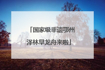 国家级非遗鄂州泽林旱龙舟来啦