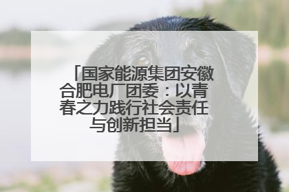 国家能源集团安徽合肥电厂团委：以青春之力践行社会责任与创新担当