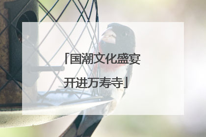 国潮文化盛宴开进万寿寺