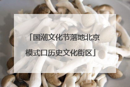 国潮文化节落地北京模式口历史文化街区