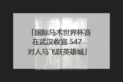 国际马术世界杯赛在武汉收官 547对人马飞跃英雄城