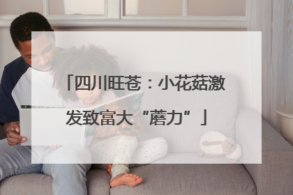 四川旺苍：小花菇激发致富大“蘑力”