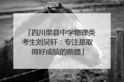 四川荣县中学物理类考生刘昊轩：专注是取得好成绩的前提