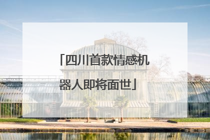 四川首款情感机器人即将面世